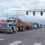 Sequim Gazette photo by Emily Matthiessen/ The Brekkavar family hauled a load of logs due to be auctioned at the Logging Show along Sequims Irrigation Festival Parade.