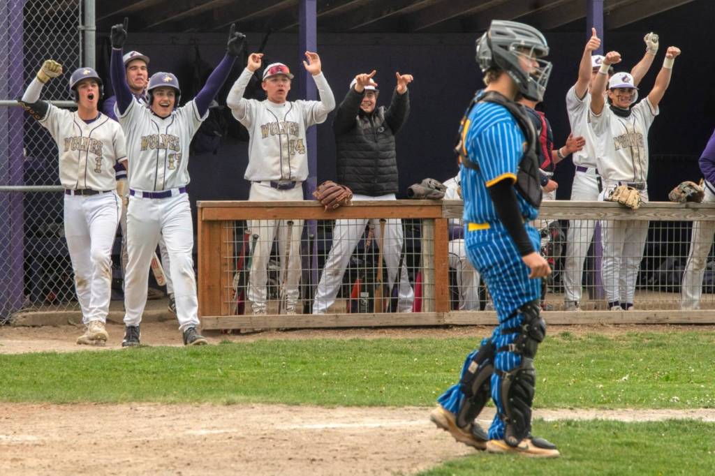Sequim Gazette photo by Emily Matthiessen/ Sequims bench celebrates a big play on May 7 during the Wolves 6-4 win over Bremerton. The Wolves had three triples in the game.