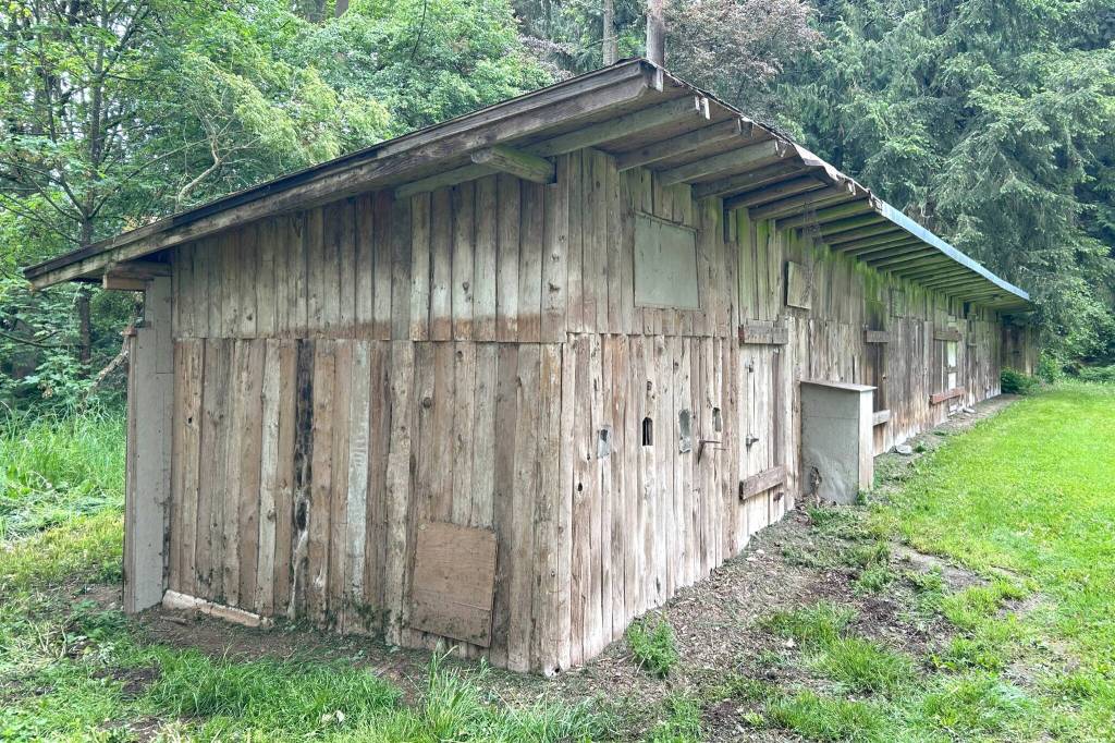 Sequim Gazette photo by Matthew Nash/ Four outbuildings will be auctioned off by the City of Sequim in a surplus sale of structures at Gerhardt Park. Staff said the wood from the outbuildings could be of interest to local builders.