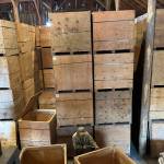 Sequim Gazette file photo by Matthew Nash/ In recent years, Nash Huber converted his organic produce business to focus on seeds. However, he faces eviction for allegedly not complying with his lease agreements and not communicating with the property owner Washington Farmland Trust to come into compliance.