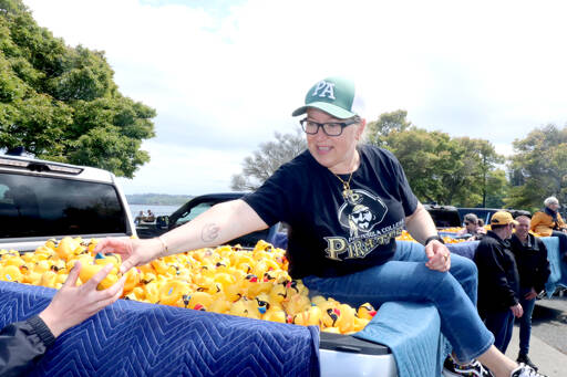 Dave Logan for the Olympic Peninsula News Group/
Port Angeles Mayor Kate Dexter is one of several local people who helped pluck a winning duck from a pickup truck on Sunday at Port Angeles City Pier. There was 36 ducks to be plucked from six Wilder Toyotas.