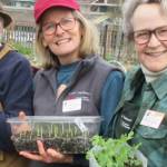 Photo courtesy of Clallam County Master Gardeners
What should you be planting now, and how can you ward off pests and disease in your garden? Find out at Clallam County Master Gardeners Second Saturday Garden Walk on 
June 14.