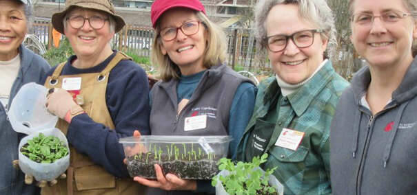Photo courtesy of Clallam County Master Gardeners
What should you be planting now, and how can you ward off pests and disease in your garden? Find out at Clallam County Master Gardeners Second Saturday Garden Walk on 
June 14.
