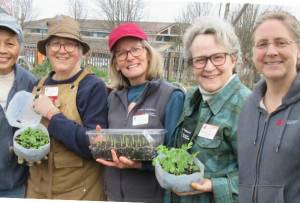 Photo courtesy of Clallam County Master Gardeners
What should you be planting now, and how can you ward off pests and disease in your garden? Find out at Clallam County Master Gardeners Second Saturday Garden Walk on 
June 14.