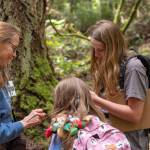 Photo courtesy of Five Acre School/
Heidi Pedersen, assistant teacher for fourth-sixth grade at Sequims Five Acre School, discusses how to identify a cedar cone with students as they explore the Botany Walk through old growth forest at Fort Townsend State Park.