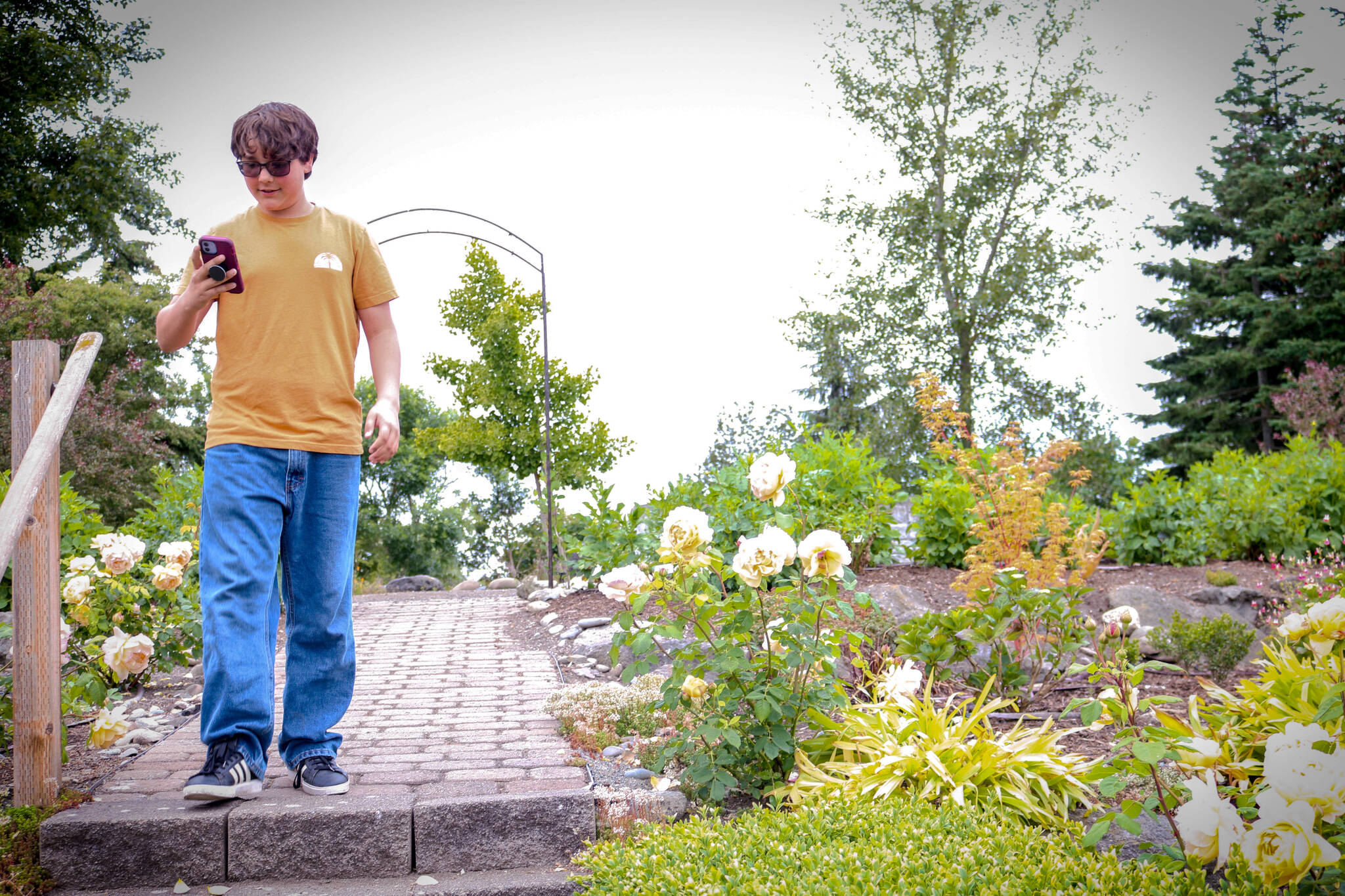 Photo courtesy City of Sequim 
Pierce Andersen explores the Sequim Botanical Garden with the City of Sequims new Agents of Discovery app that will be available on June 26 via a launch party in the Water Reuse Demonstration Site. Once downloaded, the game can be used without Wi-Fi or cellular data.