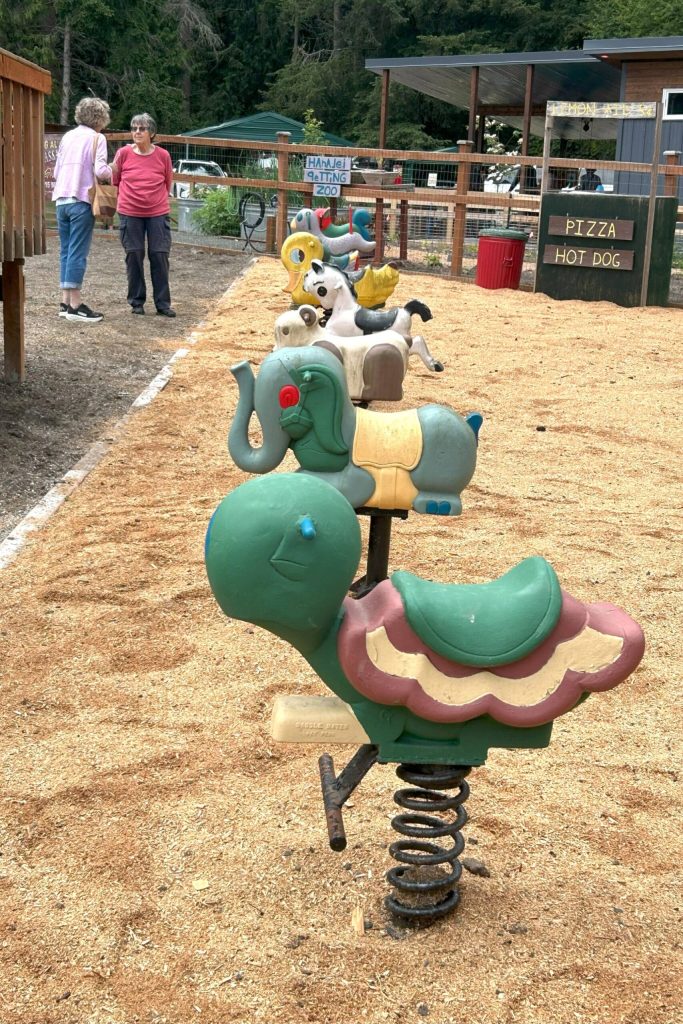Sequim Gazette photo by Matthew Nash/ Second Chance Ranch in Agnew features a playground, arcade, outdoor games, various garden and play space, and more. Here, Vicki Sensiba and Maggie Walthall chat while taking in the many offerings of the Petals & Pathways Home Garden Tour.