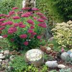 Photo courtesy of Clallam County Master Gardeners
Thoughtful water use is essential for keeping gardens healthy and sustainable.