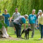 Sequim Gazete photo by Emily Matthiessen/ Rise Rescue Alliance volunteer Polly Norton pets Bonnie, a pit bull mix who came to the n0n-profit dog training rescue after the death of her owner. Volunteer Kelly Thomas stands to her right, then Sandy Caudill.