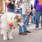 Sequim Gazette photo by Emily Matthiessen/