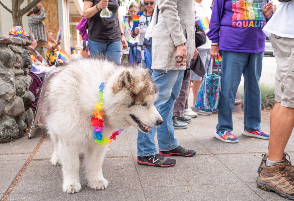 Sequim Gazette photo by Emily Matthiessen/