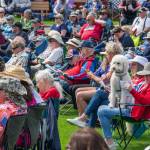 Sequim Gazette photo by Emily Matthiessen/ As is usual during outside events in Sequim, there were a number of well-behaved dogs at the Independence Day celebration in Carrie Blake Community Park.