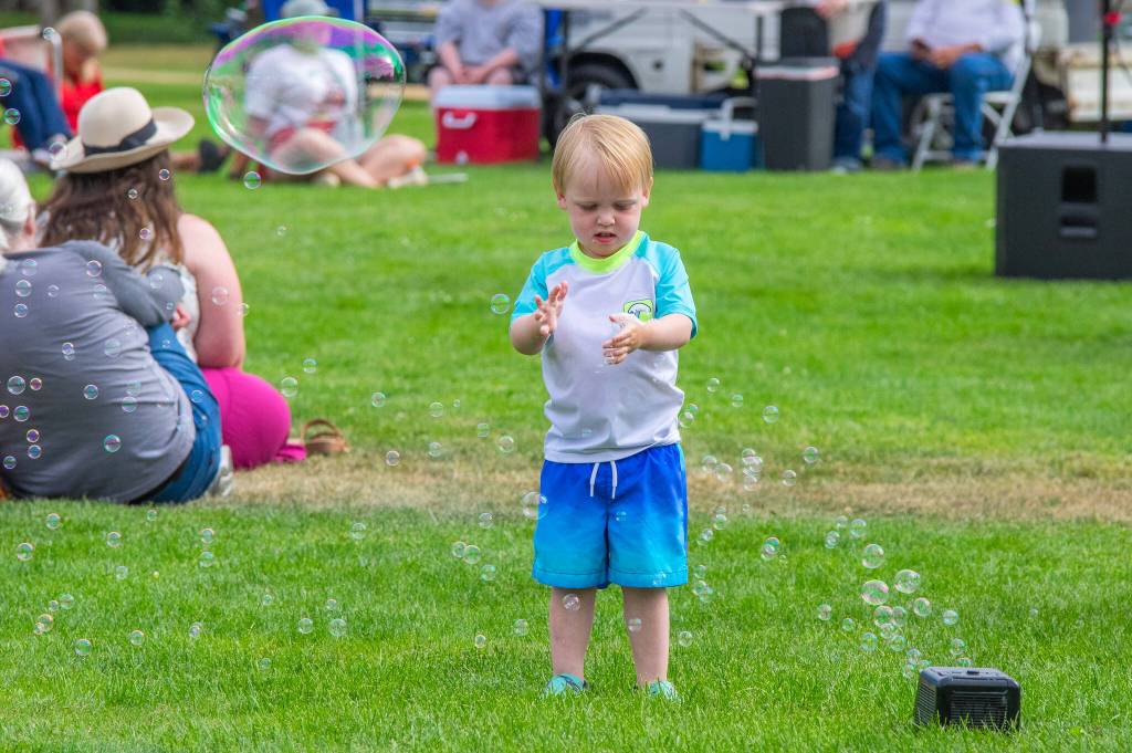Sequim Gazette photo by Emily Matthiessen/ Maximilian McKnight, 3, of Port Angeles studies bubbles supplied by the City of Sequim at Fridays Independence Day celebration in Carrie Blake Community Park.
