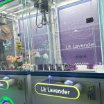Sequim Gazette photo by Matthew Nash/ Lit Lavenders two claw machines will be available during Sequim Lavender Weekend outside at 1526 Marine Drive, Sequim, with lavender mystery boxes and plush animals found around the farm.