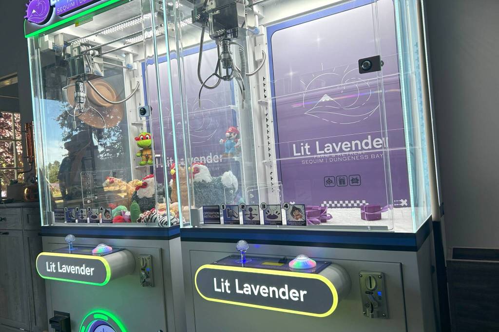 Sequim Gazette photo by Matthew Nash/ Lit Lavenders two claw machines will be available during Sequim Lavender Weekend outside at 1526 Marine Drive, Sequim, with lavender mystery boxes and plush animals found around the farm.