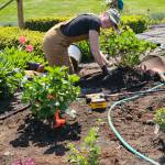 Volunteers and city employees, with an assist from New Dungeness Nursery, had the work done within two hours.