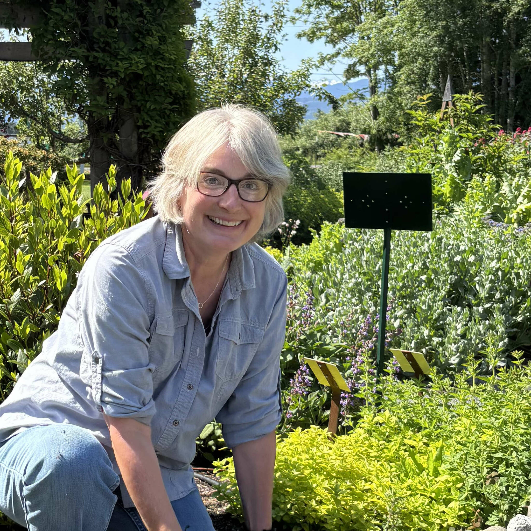 Photo courtesy of Clallam County Master Gardeners
Get the tips you need for a successful fall/winter garden from Master Gardener Pam Pace on July 26 at the Woodcock Demonstration Garden in Sequim.