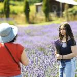 Sequim Gazette photo by Matthew Nash/ Maya Kazarez stands for her mom Jenny Korens photo in a field at Lavender Connection. They visited the farm from Redmond for their fifth year and make the trek to this farm once a year, they said.