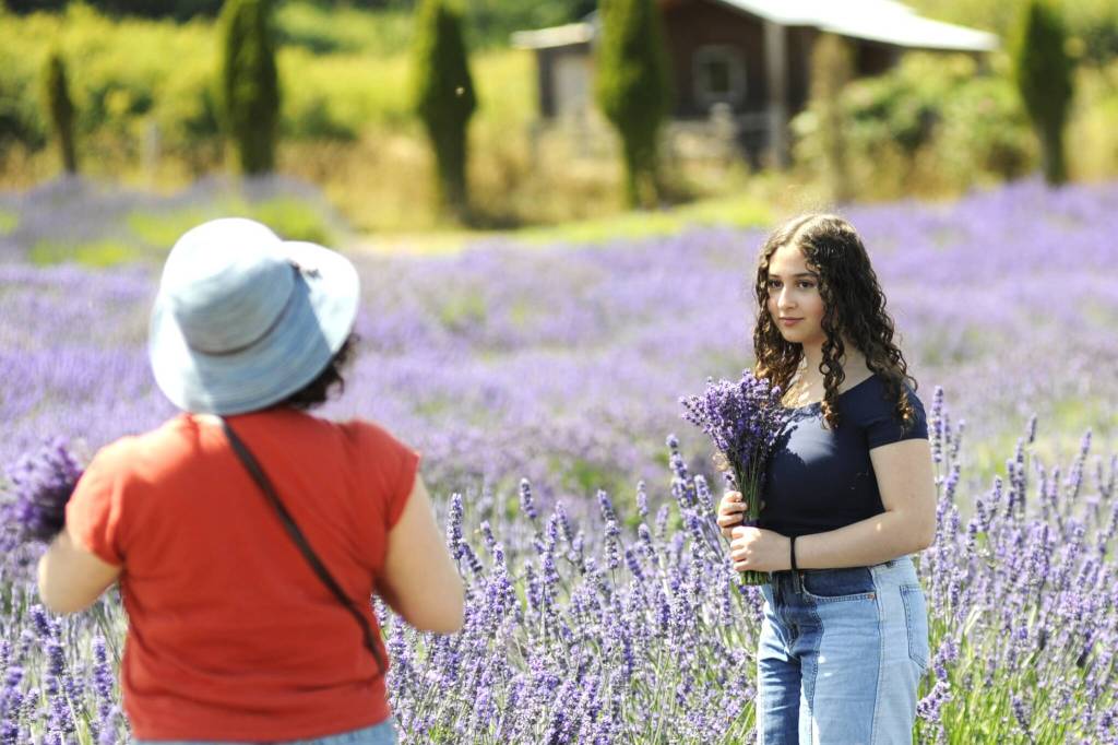 Sequim Gazette photo by Matthew Nash/ Maya Kazarez stands for her mom Jenny Korens photo in a field at Lavender Connection. They visited the farm from Redmond for their fifth year and make the trek to this farm once a year, they said.