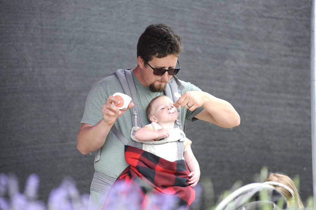 Sequim Gazette photo by Matthew Nash/ John Alexander of Graham shares some ice cream with his son Luke at B&B Family Lavender Farm on July 18. Alexander and his family visited lavender farms for the first time for his wife Arlas birthday. They visited Lavender Festival in the Park and a few farms, the couple said.