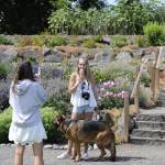 Sequim Gazette photo by Matthew Nash/ Tia Beggan holds an ice cream cone while standing with Hendrix the dog for a photo at the Sequim Botanical Garden by Rachel Wynn. Beggan is from Olympia and had heard about the festival and wanted to bring Wynn who was visiting from Savannah, Ga. It was their first time in Sequim, they said.