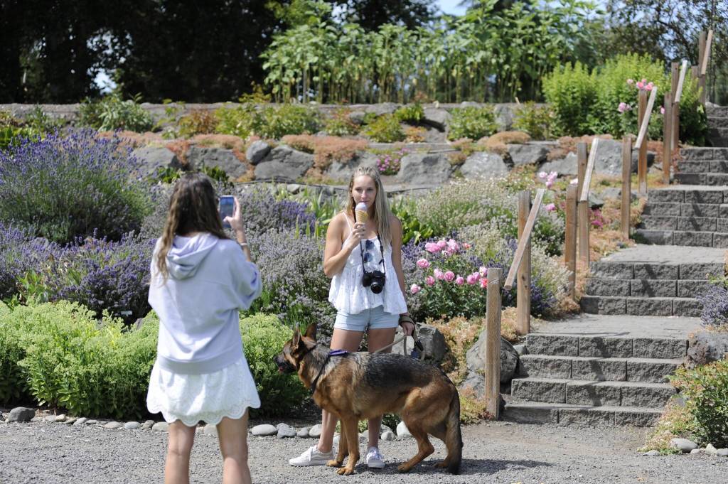 Sequim Gazette photo by Matthew Nash/ Tia Beggan holds an ice cream cone while standing with Hendrix the dog for a photo at the Sequim Botanical Garden by Rachel Wynn. Beggan is from Olympia and had heard about the festival and wanted to bring Wynn who was visiting from Savannah, Ga. It was their first time in Sequim, they said.
