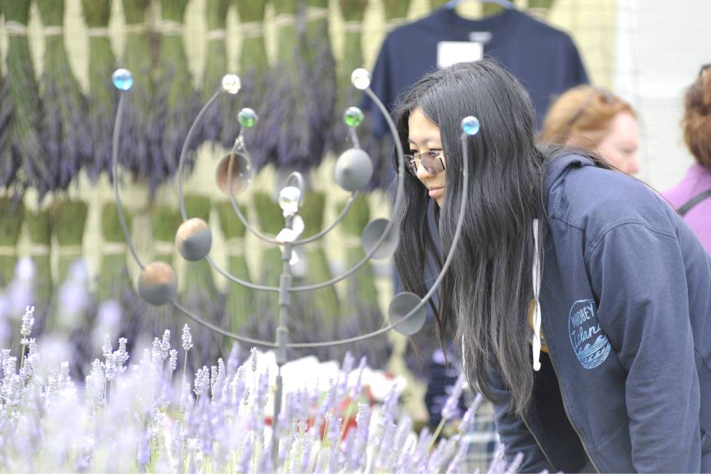 Sequim Gazette photo by Matthew Nash/ Alice Xing of Redmond looks at lavender plants at Nelsons Duckpond and Lavender Farm on July 18. Her friends Miranda Draper and Alisa Phattharaampornchai said theyve always liked lavender and Draper suggested they go for the first time.
