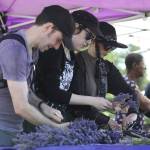 Sequim Gazette photo by Matthew Nash
Dan Dixon, Cyn Miller and Eva Belle of Seattle make lavender wreaths at Melis Lavender Farm. Miller said a coworker recommended the farm and they wanted to visit and try making a wreath.