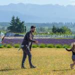 Sequim Gazette photos by Emily Matthiessen
Tyler Carey and Lenara, 4, fly a kite together at Olympic Bluffs Cidery and Lavender Farm.