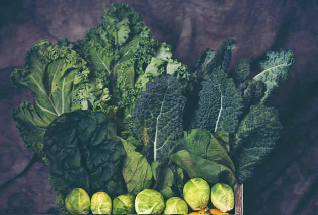 Photo courtesy of Clallam County Master Gardeners
Although summer is in full swing, now is the time to begin planning for and planting a fall/winter garden.