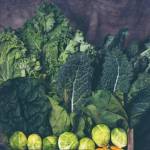 Photo courtesy of Clallam County Master Gardeners
Although summer is in full swing, now is the time to begin planning for and planting a fall/winter garden.