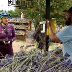 Tour de Lavender cyclists Tina and Andy Lahil learn from Joe Regalia how lavender oil is made during their stop at Lit Lavender.
