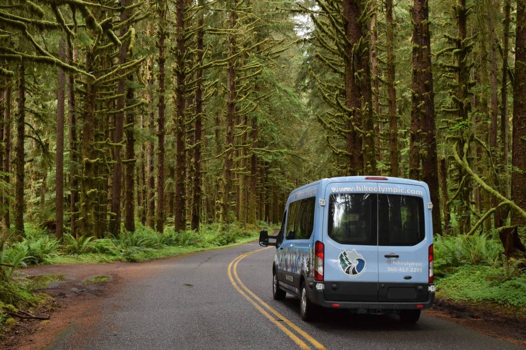 Photo courtesy of Olympic Hiking Company/ An Olympic Hiking Company van transports a group of hikers to the Hoh Rain Forest.