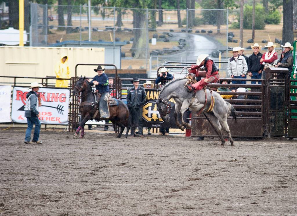 Despite the rain that fell on the fairgrounds on Friday, Aug. 15, saddle-bronc riders did what saddle-bronc riders do.