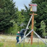 Bert Corales climbing up to give the abandoned baby owls some frozen mice to keep them fed until they can be rescued.