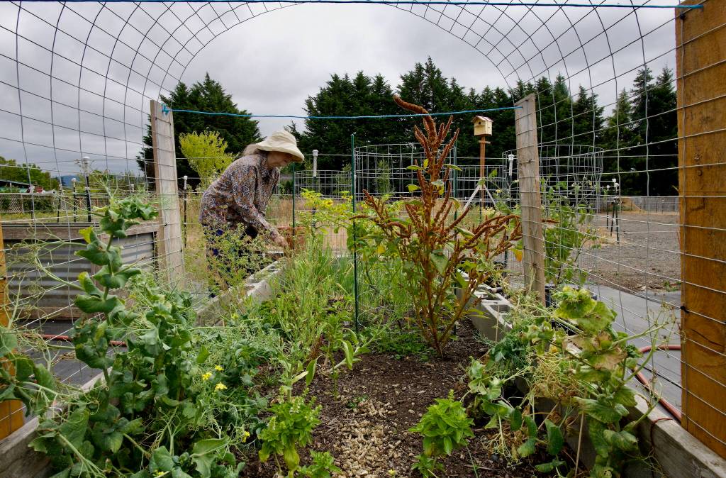 Candace Fagerhaugh and Bert Corales are expert gardeners.
