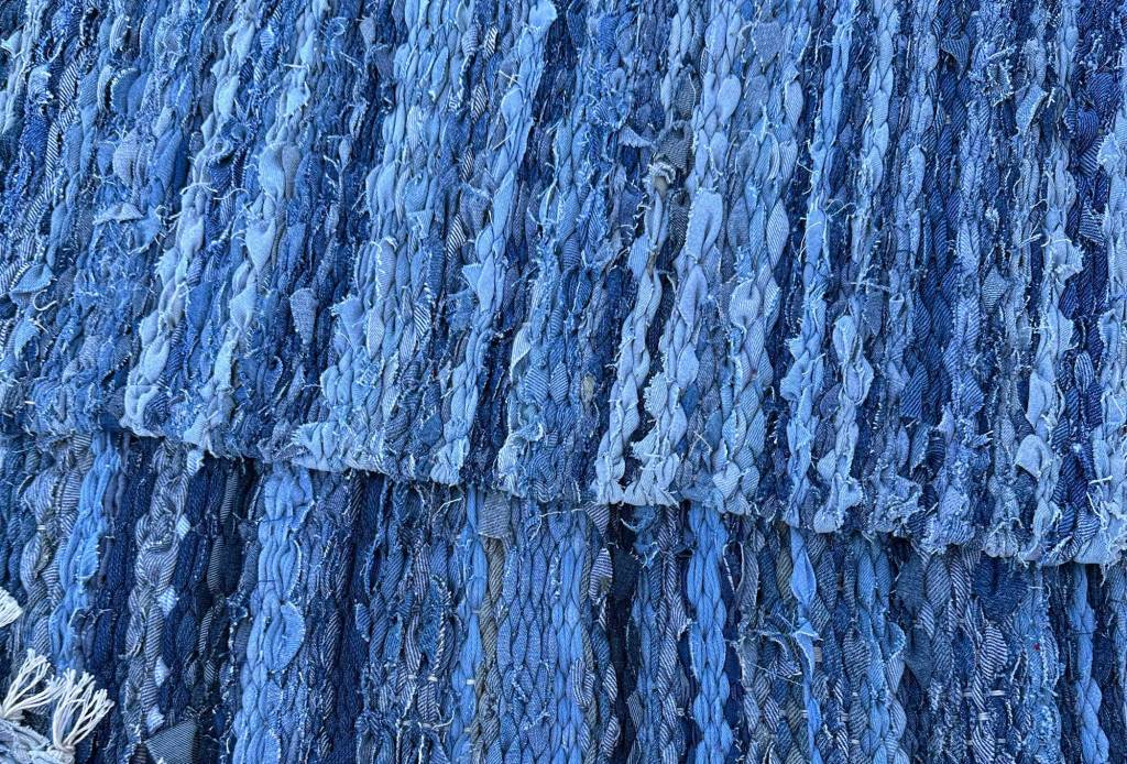 Raggedy Rugs by Diane Frandsen.