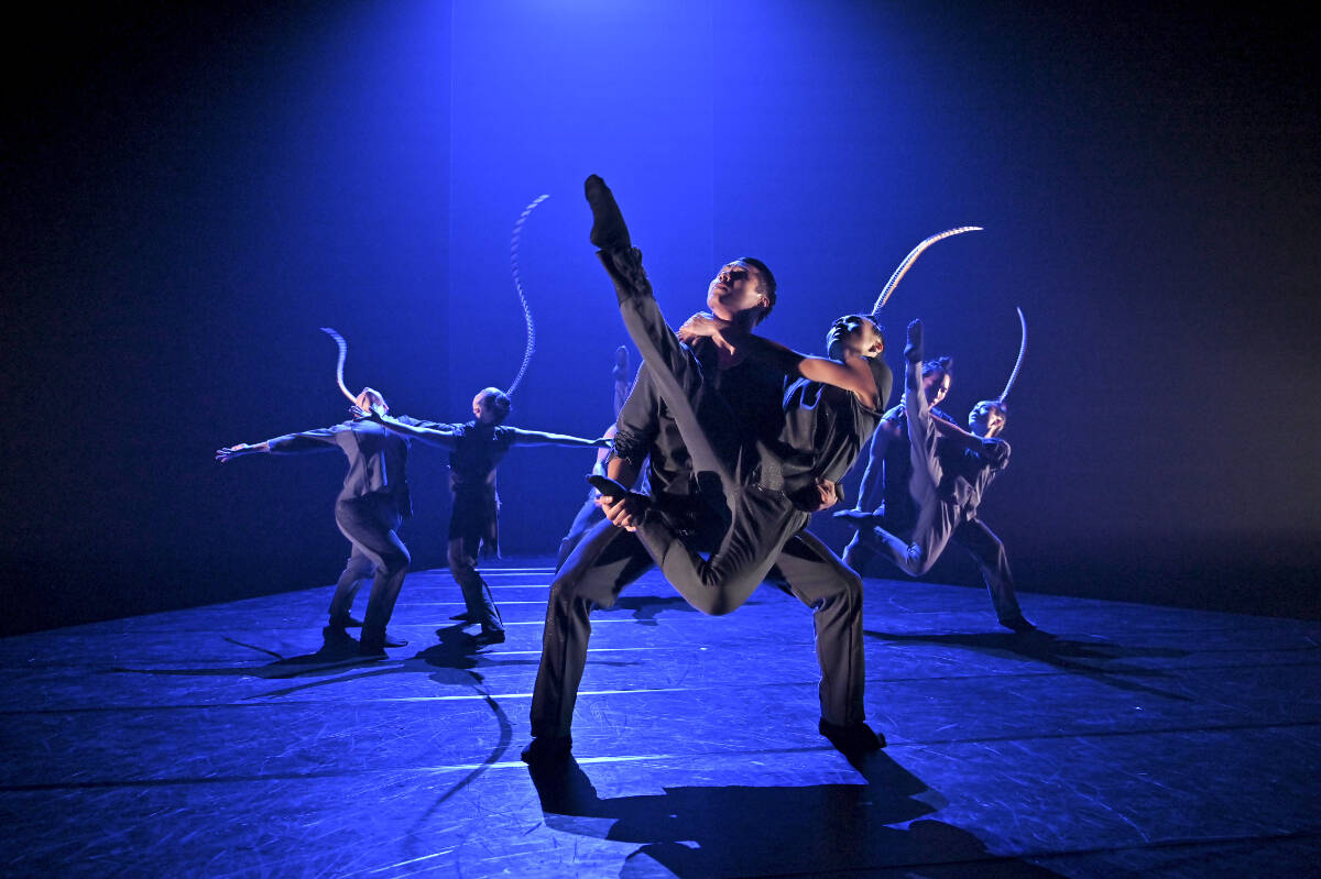 <em>Birdy</em> is a new contemporary dance work by Taiwans Hung Dance, coming to Field Arts & Events Hall Nov. 12. Courtesy Field Arts & Events Hall