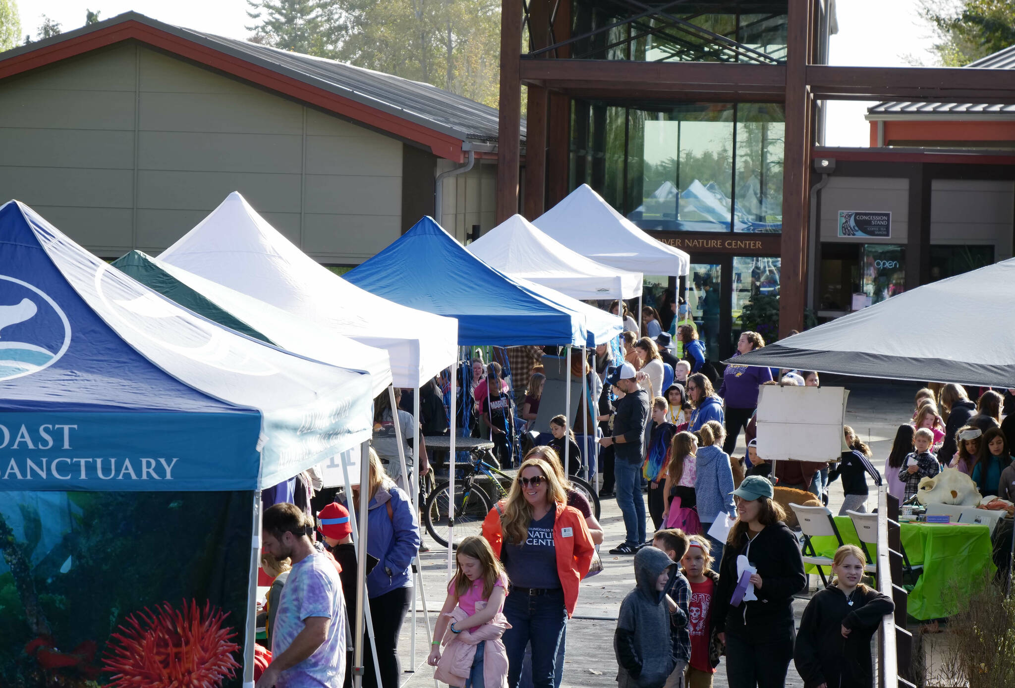 Photos courtesy of Dungeness River Nature Center
Fish and Wildlife, the Jamestown SKlallam Tribe, the National Park Service and the North Olympic Salmon Coalition make up just some of the exhibitors at the annual River Festival at Railroad Bridge Park by the Dungeness River Nature Center.