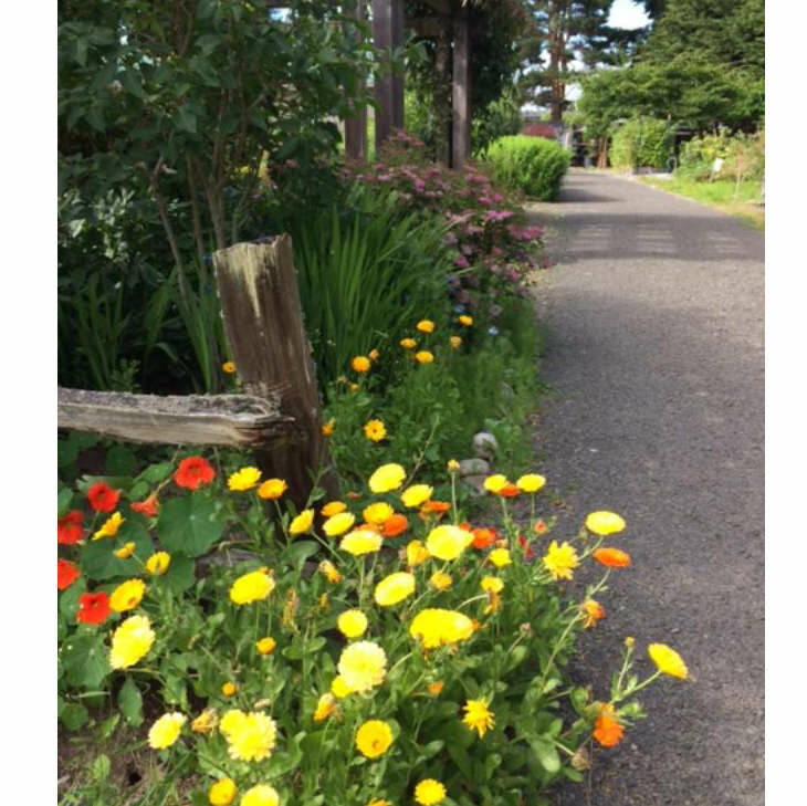 The last Walk About tour of the season at Woodcock Demonstration Gardens in Sequim will take place at 10 a.m. on Thursday, Oct. 2.
Photo by Cathy Wagner