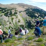 Robbie Hart, third from left, trains the Global Observation Research Initiative in Alpine Environments (GLORIA) team students on how to perform the botanical research in the grid on the first day of the experiment. Elk Mountain is in the background. (Eric DeChaine/Western Washington University)