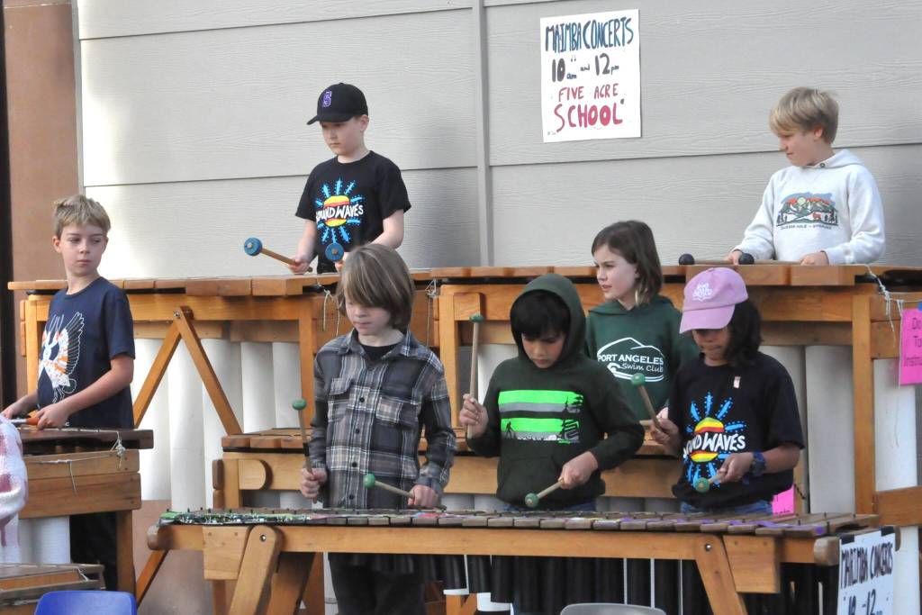 Sequim Gazette photo by Matthew Nash/ Five Acre Schools Soundwaves Marimba Band plays during the Dungeness River Festival. The students will play various events through the school year, including a winter concert.