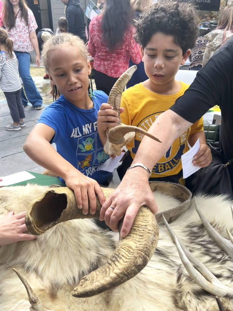 Sequim Gazette photo by Matthew Nash/ Third graders Jazzy Haabala and Ezekiel Hicks inspect some animal horns brought by the Department of Fish and Wildlifes staff and volunteers.