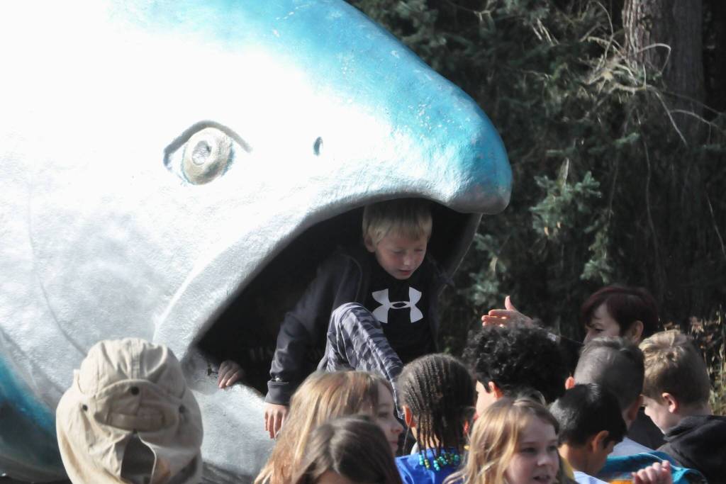 Sequim Gazette photo by Matthew Nash/