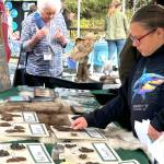 Sequim Gazette photo by Matthew Nash/