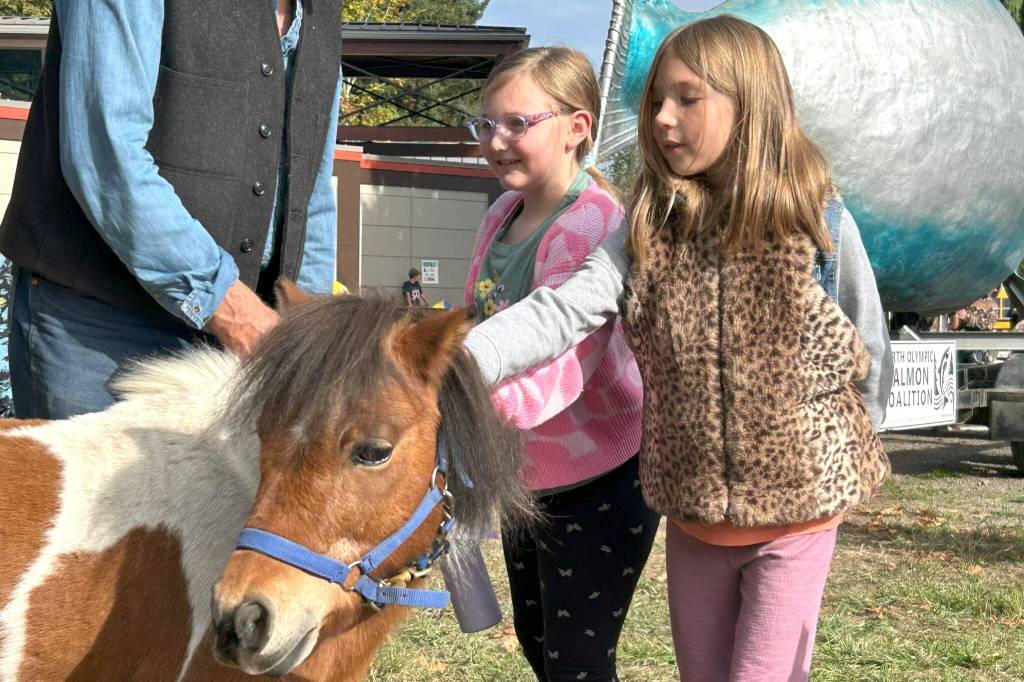 Sequim Gazette photo by Matthew Nash/