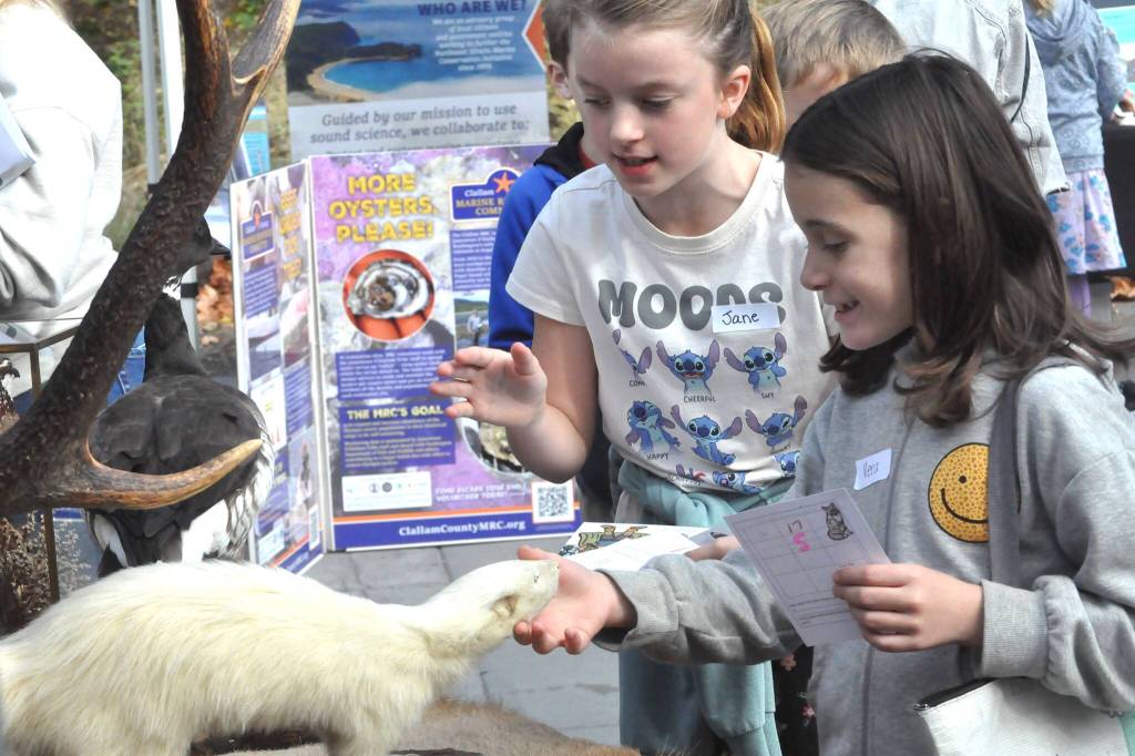 Sequim Gazette photo by Matthew Nash/ Vera Eksteen and Jane Woolf, third graders at Helen Haller Elementary School, pet an albino skunk at the Department of Fish and Wildlifes booth on Sept. 26 at the Dungeness River Festival.