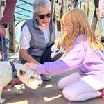 Sequim Gazette photo by Matthew Nash/ Ella Holland greets Jazzy the dog and owners Liz and Norm Bernahl on the Dungeness River Railroad Bridge.