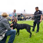 K-9 Officer Ken McKnight with the Port Angeles Police Department and Freddy the German Shepherd greet Sequim residents Riley Galvin, Joseph Vuckel, Haley Holden, and Darlene Cook at the Clallam County Public Safety Fair. McKnight said he and Freddy completed a 400-hour special training program for certification as a K-9 officer.