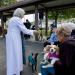 Sequim Gazette photo by Jacques Star
Pastor Desi Larson of Trinity United Methodist Church blesses Karen Kremkaus Cavalier King Charles Spaniel Sadie-Mae during the annual Blessing of the Animals service held outside the church at 100 N. Blake Ave. on Sunday, Oct. 12. The annual ceremony is open to the public, and those who have lost a beloved pet are invited to bring the pets photo or speak their name aloud so that a prayer of remembrance can be said. The tradition celebrates the life of St. Francis of Assisi, who believed that all of Gods creations are interconnected and equally blessed.
